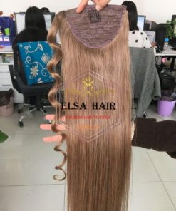 Ponytails hair elsa