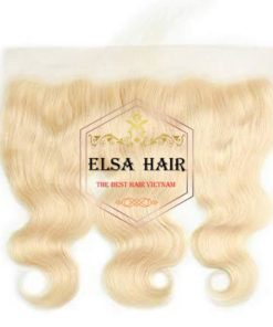 Hot Selling Closure Lace Frontal 12 Inch Vietnam Hair 25