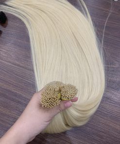I-Tip hair #12.0 Color