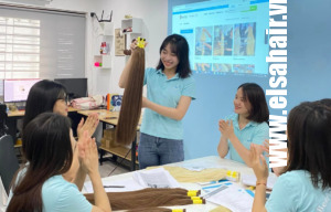 Hair Extension ⭐ Best Price Vietnam Hair Suppliers - Elsahair Company